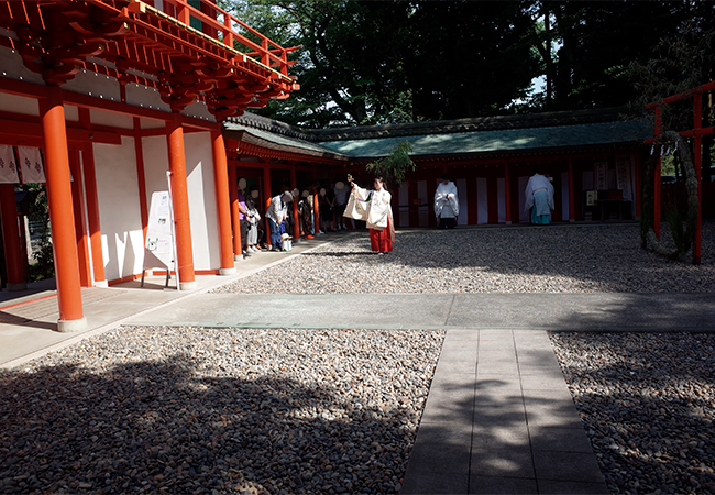 令和7年の夏越大祓の様子